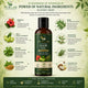 PURLAB™ Ayurvedic Hair Oil - Purlab
